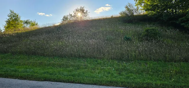 $30,000 | Lot 708 East Dutch Hollow, La Valle, WI 53941