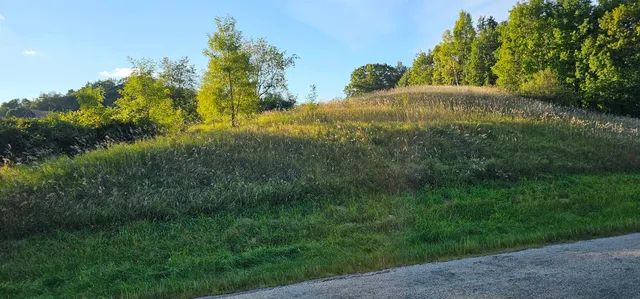 $30,000 | Lot 708 East Dutch Hollow, La Valle, WI 53941