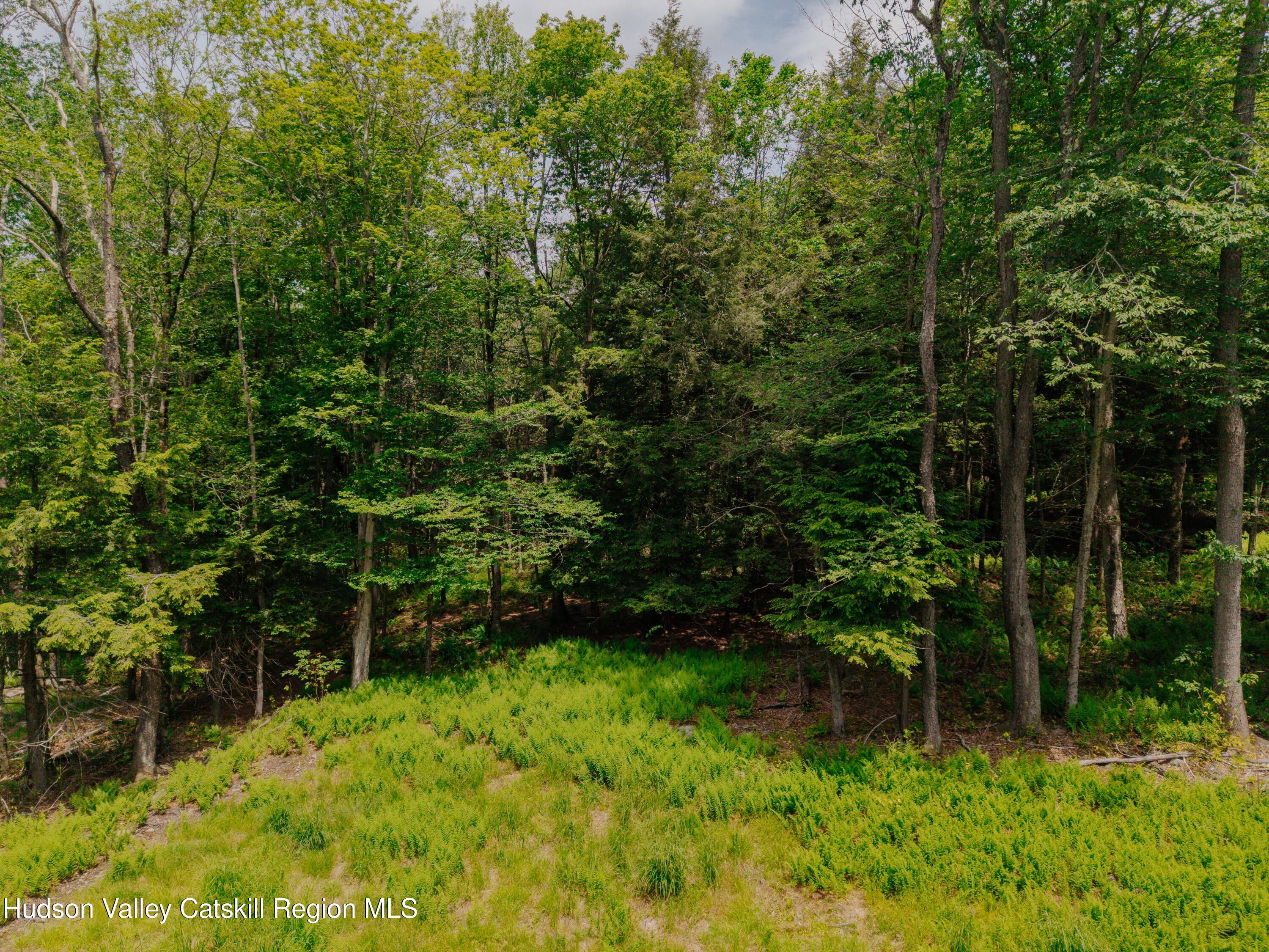 Tbd Church Lake Road Livingston Manor, NY 12758 - Photo 26 of 33 shandelee-woods-thatupstateagent-1-26