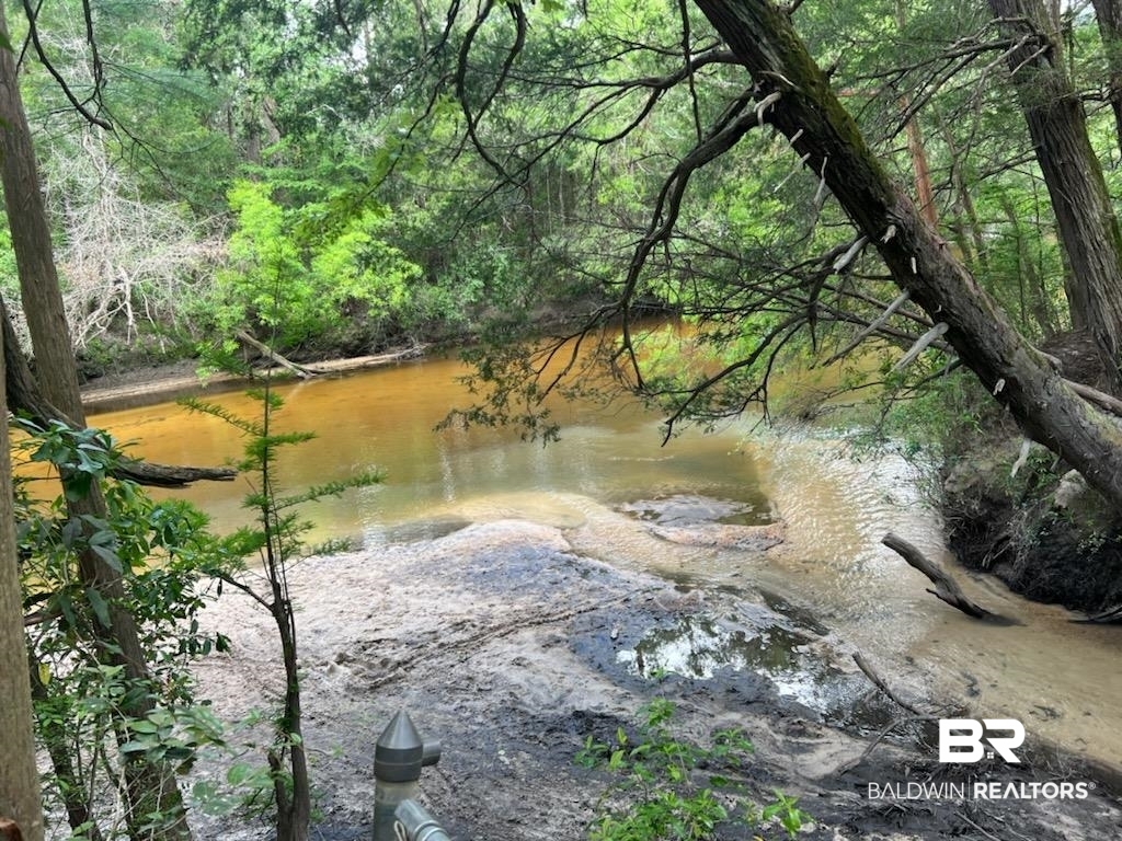 25400 Goat Cooper Road Robertsdale, AL 36567 - Photo 21 of 34 Private Beach/Styx River