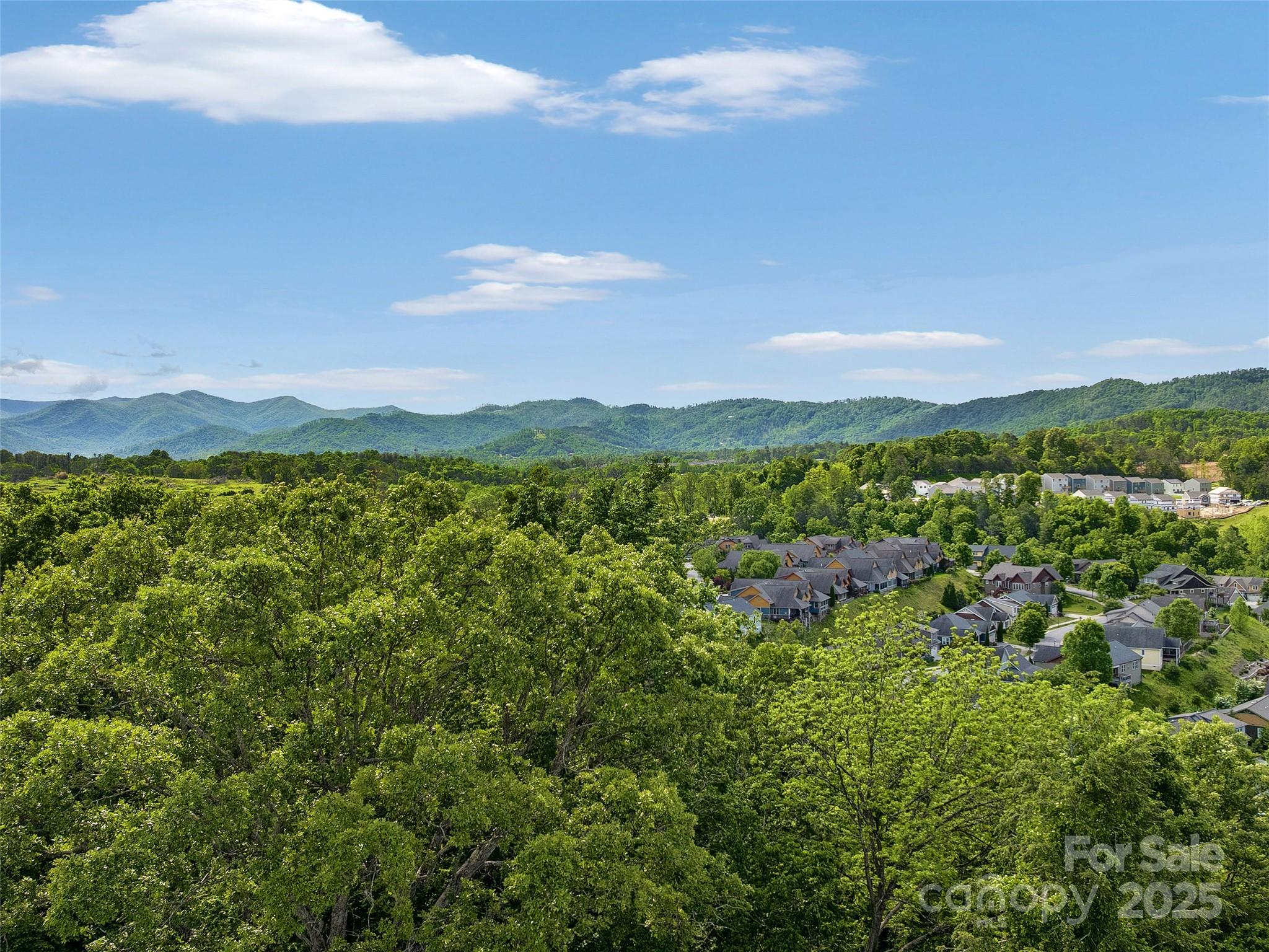 144 Pinebrook Road Weaverville, NC 28787 - Photo 4 of 10 a view of a city with mountain