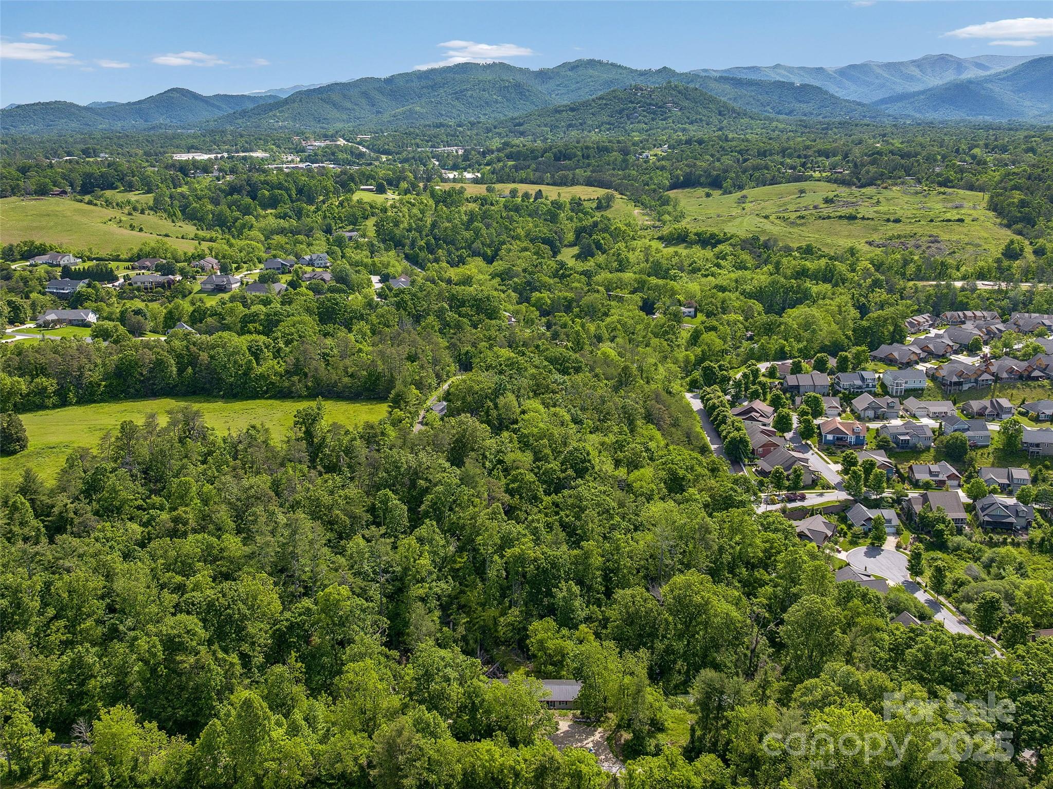 144 Pinebrook Road Weaverville, NC 28787 - Photo 6 of 10 a view of lake with mountain