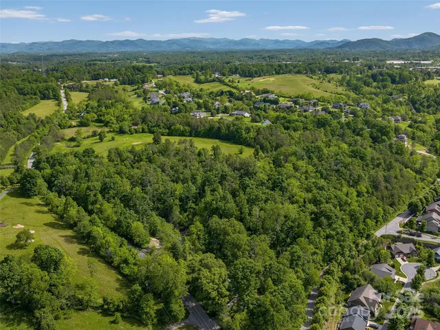 a view of a city with lush green forest