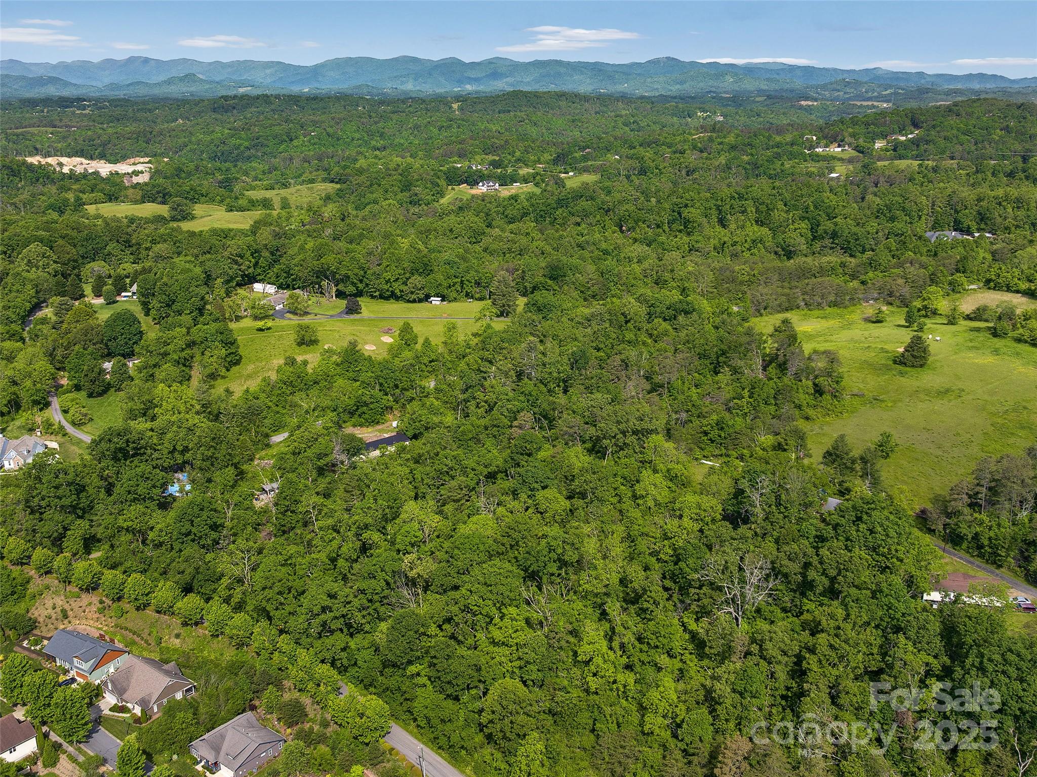 144 Pinebrook Road Weaverville, NC 28787 - Photo 8 of 10 a view of a lush green outdoor space with a lake view and mountain view
