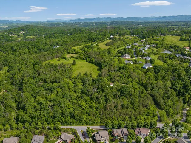 a view of a city with lush green forest