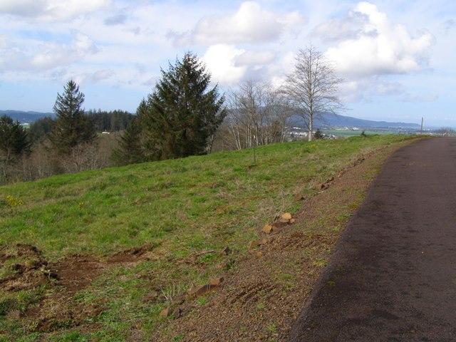 Lot 28 Skyview Road Tillamook, OR 97141 - Photo 8 of 15 P3180364.JPG