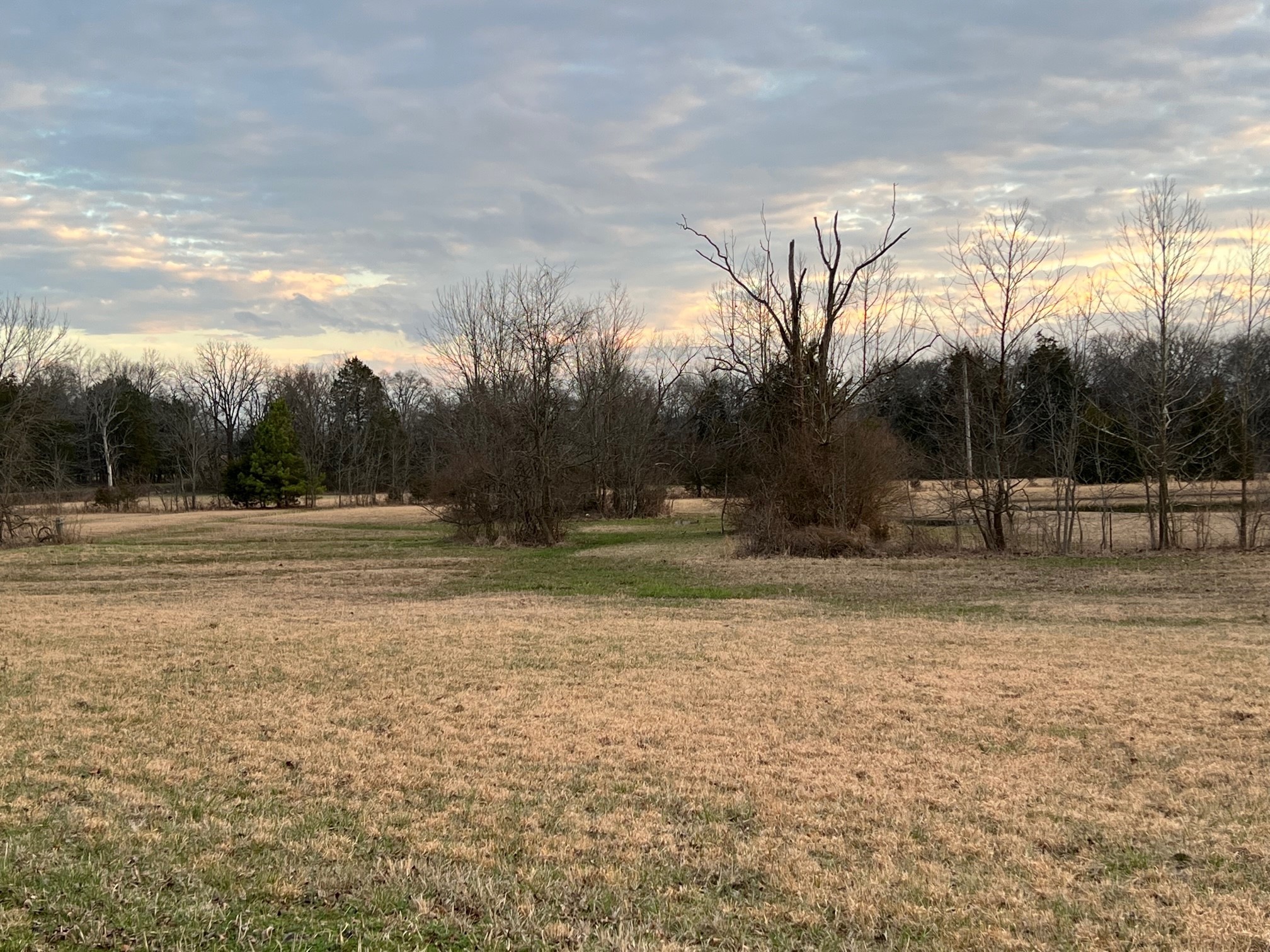 0 Kennedy Road Shelbyville, TN 37160 - Photo 14 of 17 a view of a yard
