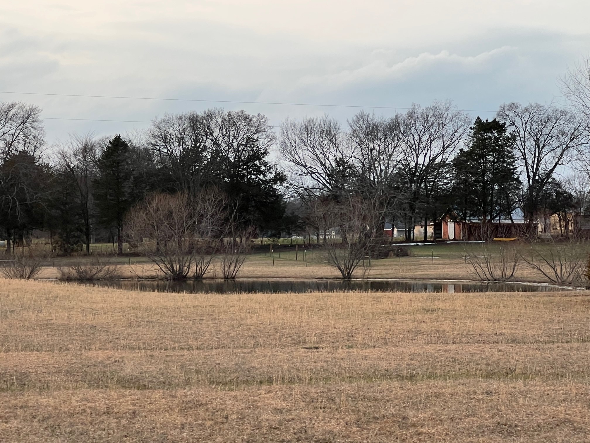 0 Kennedy Road Shelbyville, TN 37160 - Photo 15 of 17 a view of a yard with a fountain