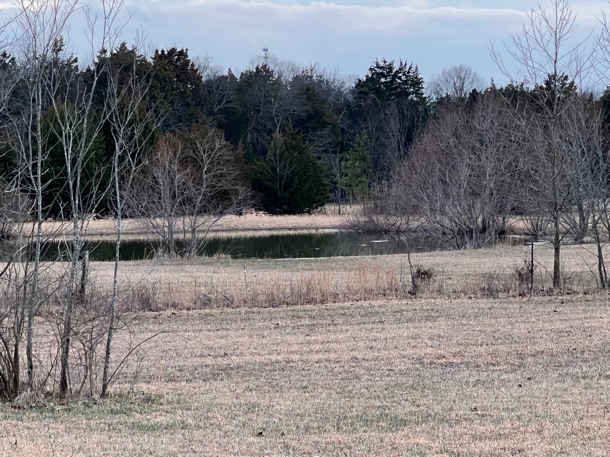 0 Kennedy Road Shelbyville, TN 37160 - Photo 16 of 17 a view of a backyard
