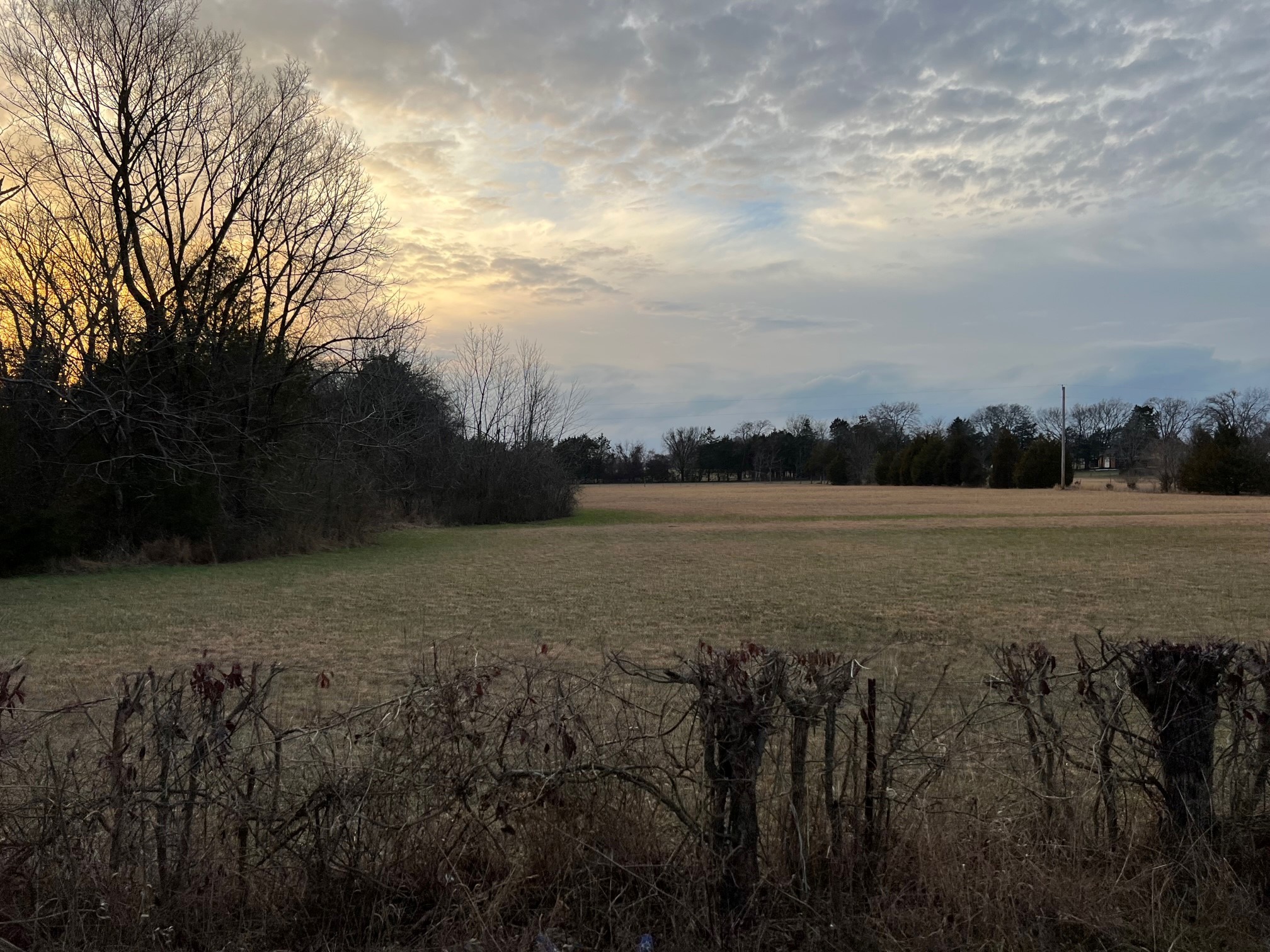 0 Kennedy Road Shelbyville, TN 37160 - Photo 2 of 17 a view of lake view and mountain in the back