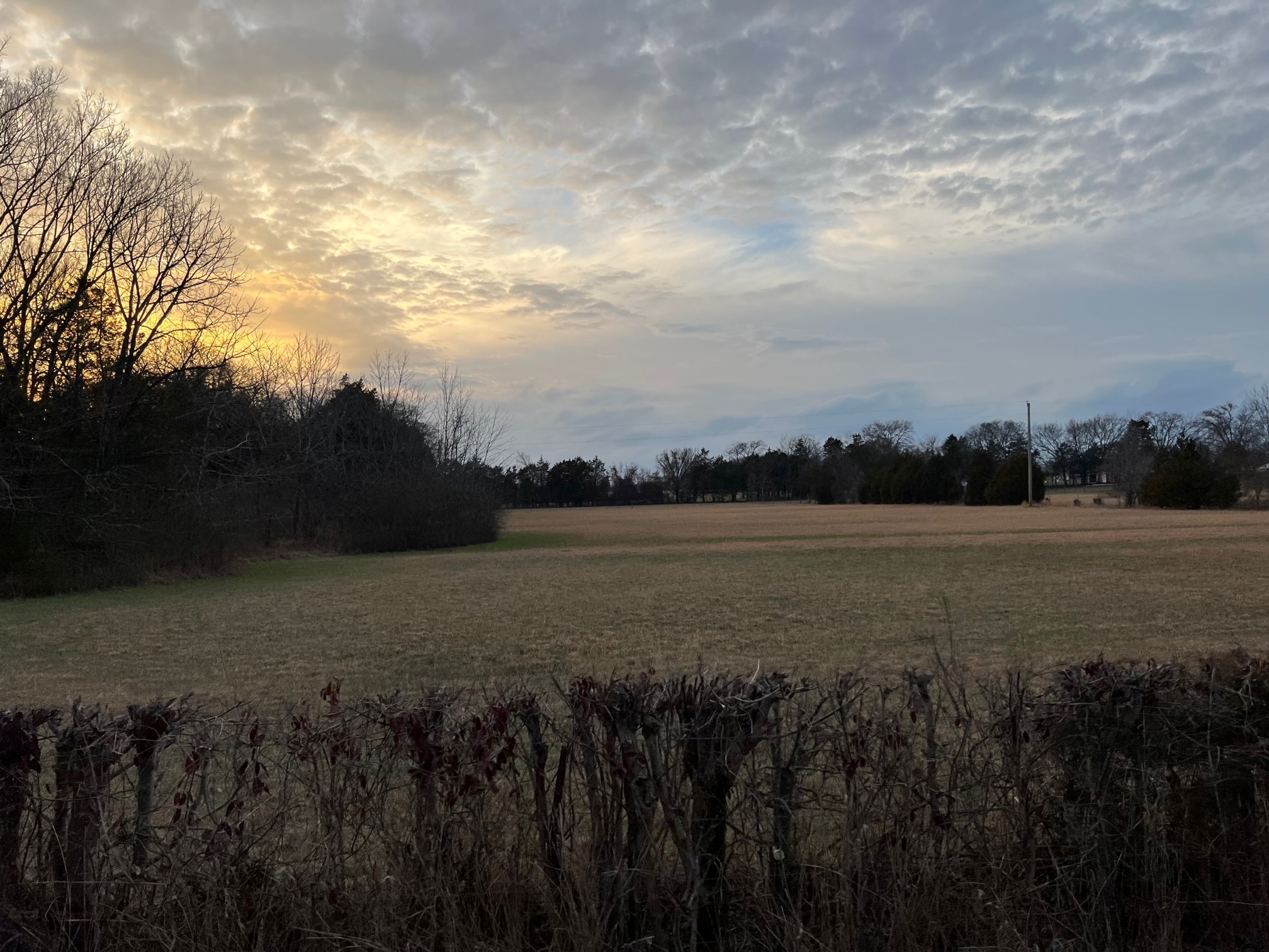 0 Kennedy Road Shelbyville, TN 37160 - Photo 3 of 17 a view of lake and mountain