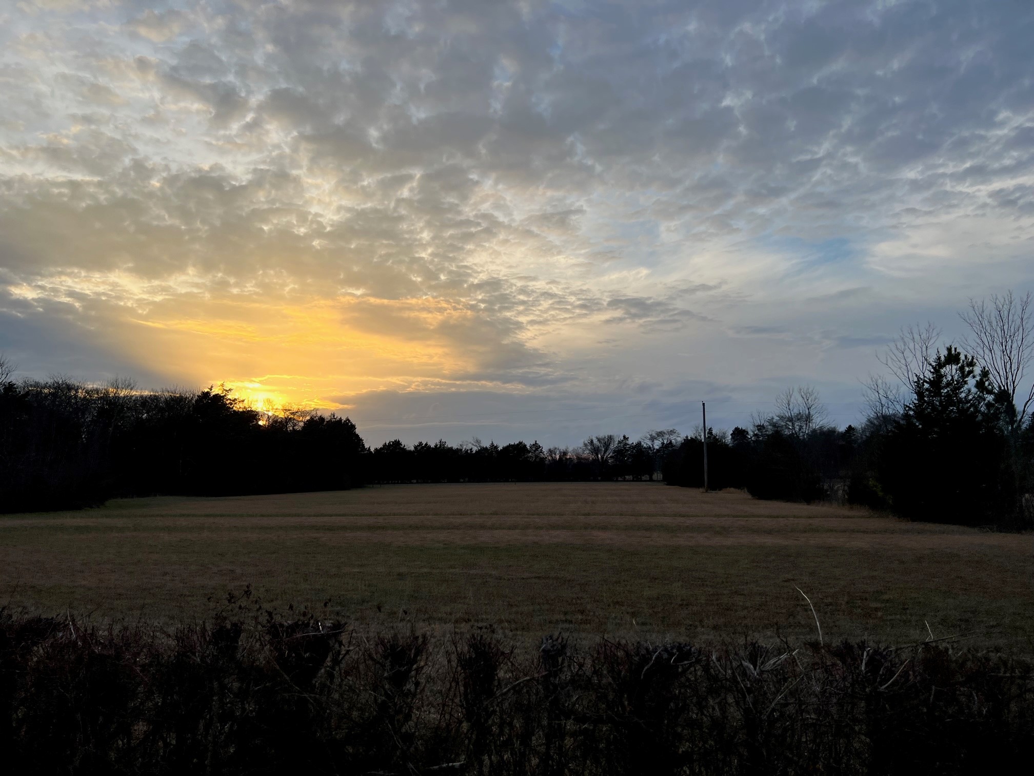 0 Kennedy Road Shelbyville, TN 37160 - Photo 4 of 17 a view of outside space