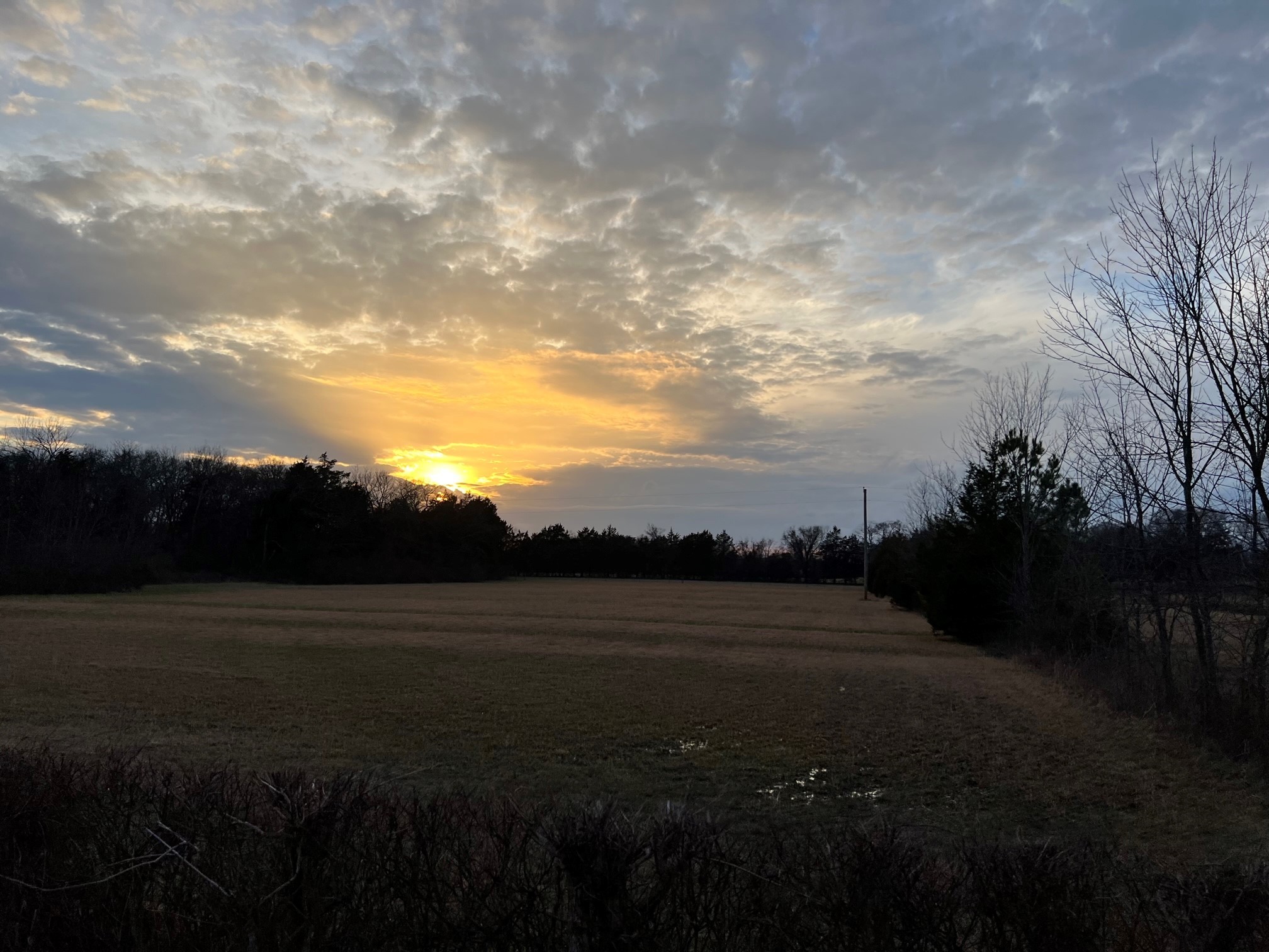 0 Kennedy Road Shelbyville, TN 37160 - Photo 5 of 17 a view of outside space