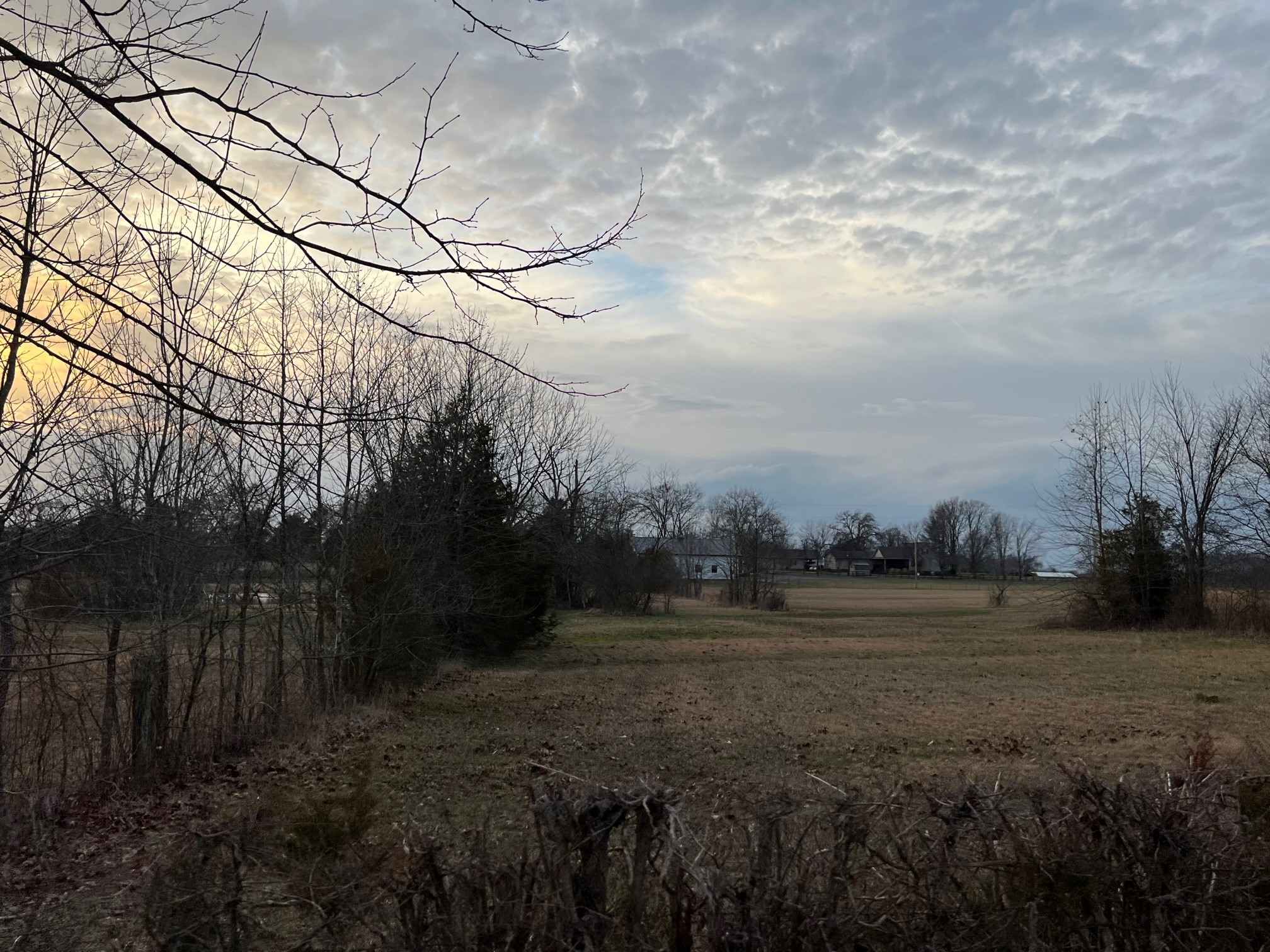 0 Kennedy Road Shelbyville, TN 37160 - Photo 9 of 17 a view of outdoor space and yard