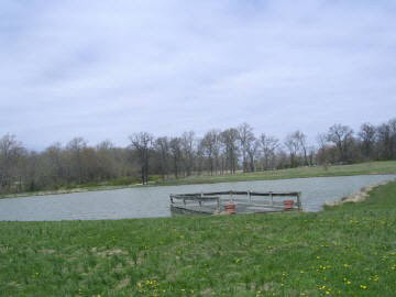 2424 Bannister Road Salem, IL 62881 - Photo 6 of 6