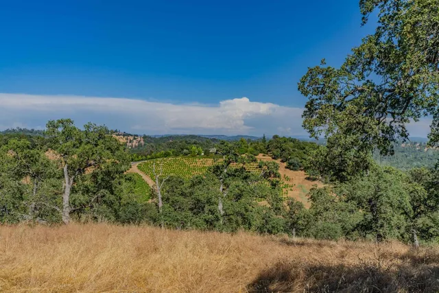 a view of a yard with a house