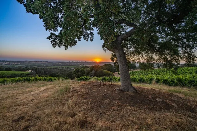 a view of a road with a tree in the background