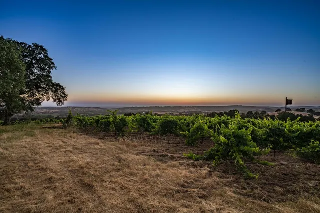 a view of a yard next to a lake