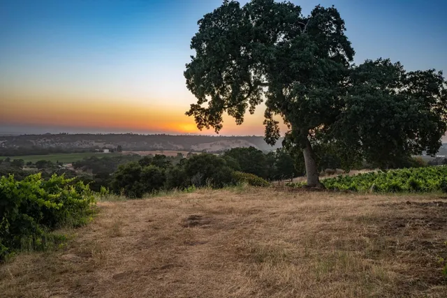 a view of a yard with a tree
