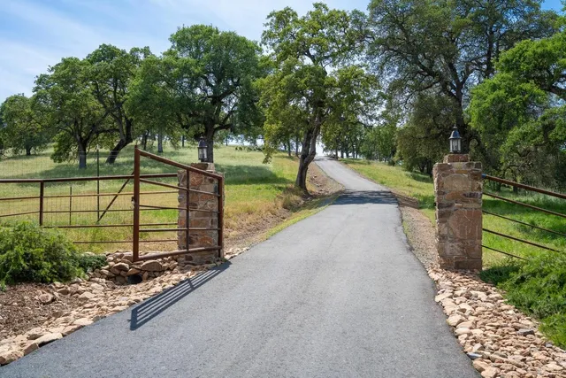 a view of a street with large trees and a wooden fence