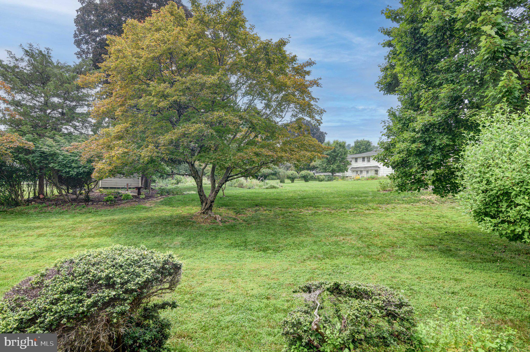 19 Crown Road Trenton, NJ 08638 - Photo 26 of 27 Lush green oasis with serene views.