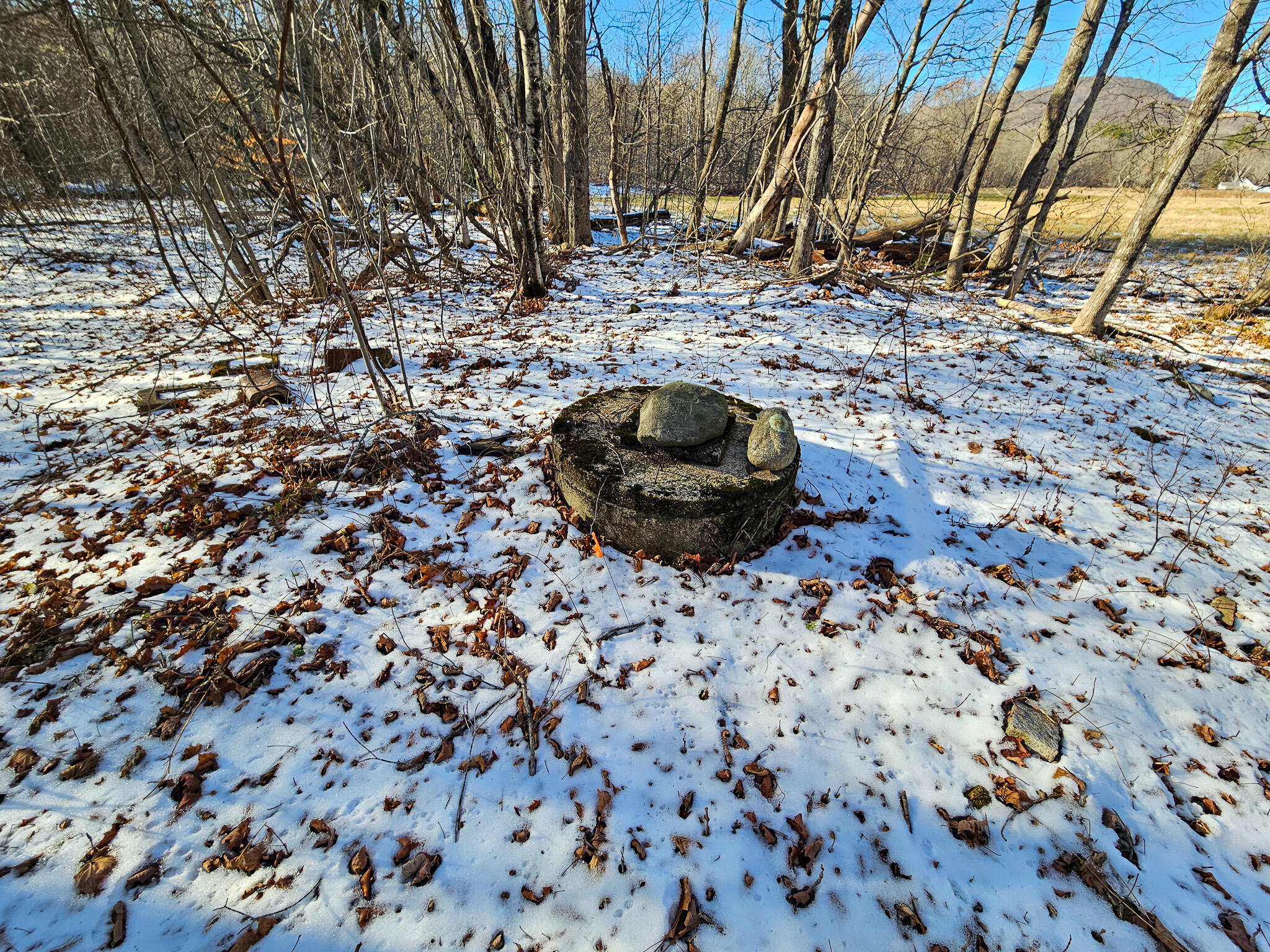 6 Weld Road Wilton, ME 04294 - Photo 15 of 28 20251120_125445-2