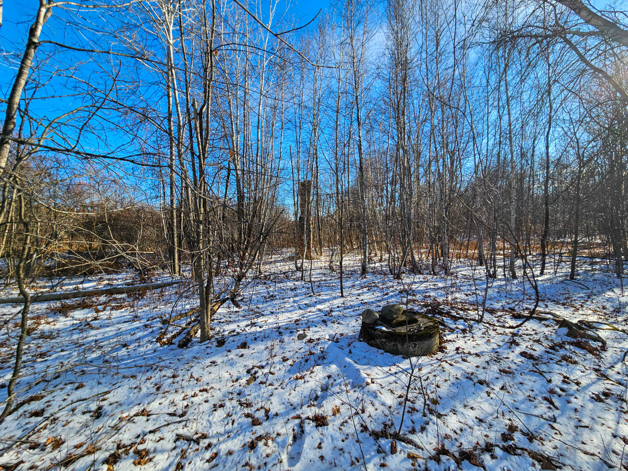 6 Weld Road Wilton, ME 04294 - Photo 16 of 28 20251120_125457-2