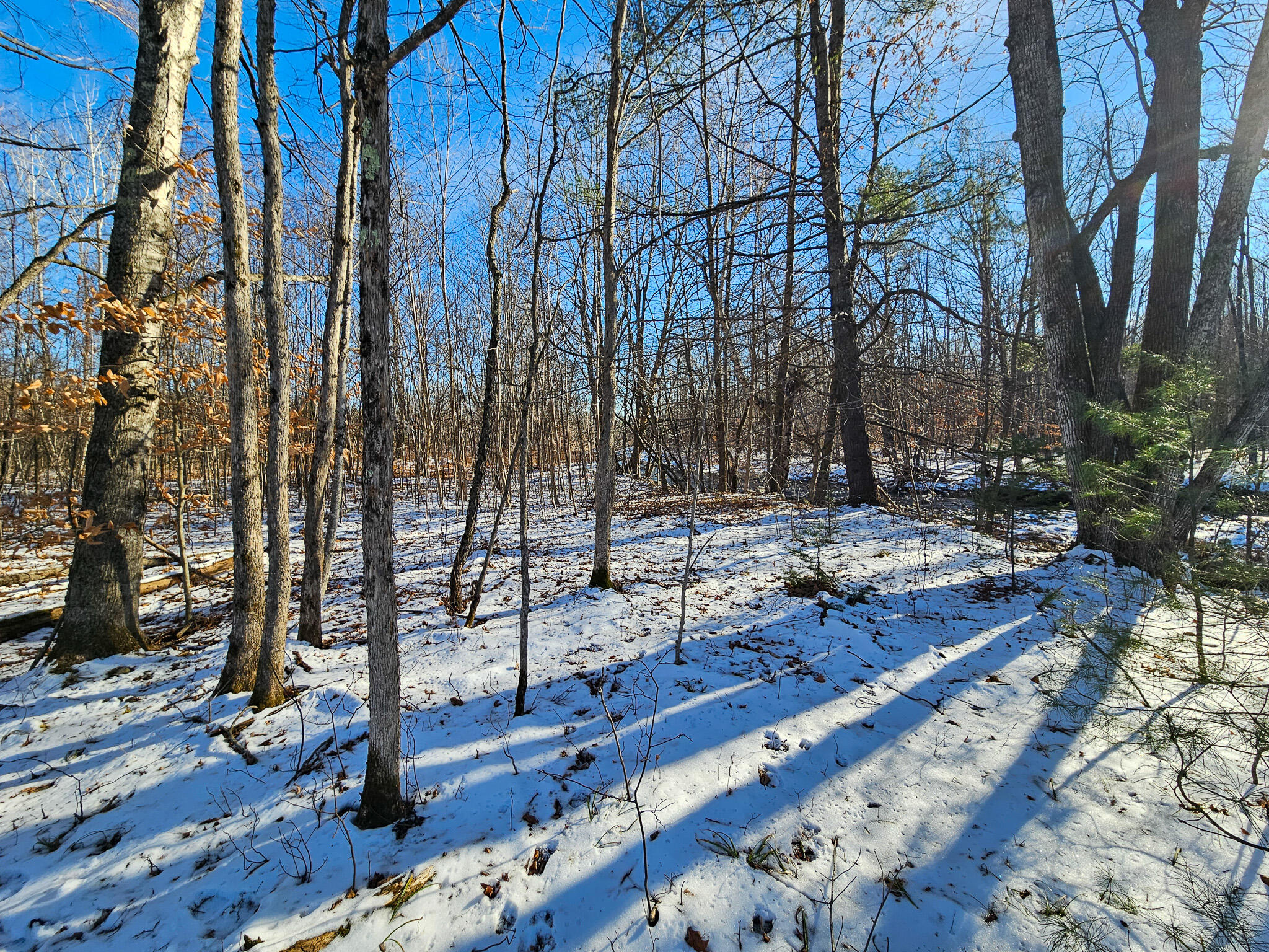 6 Weld Road Wilton, ME 04294 - Photo 17 of 28 20251120_125601-2