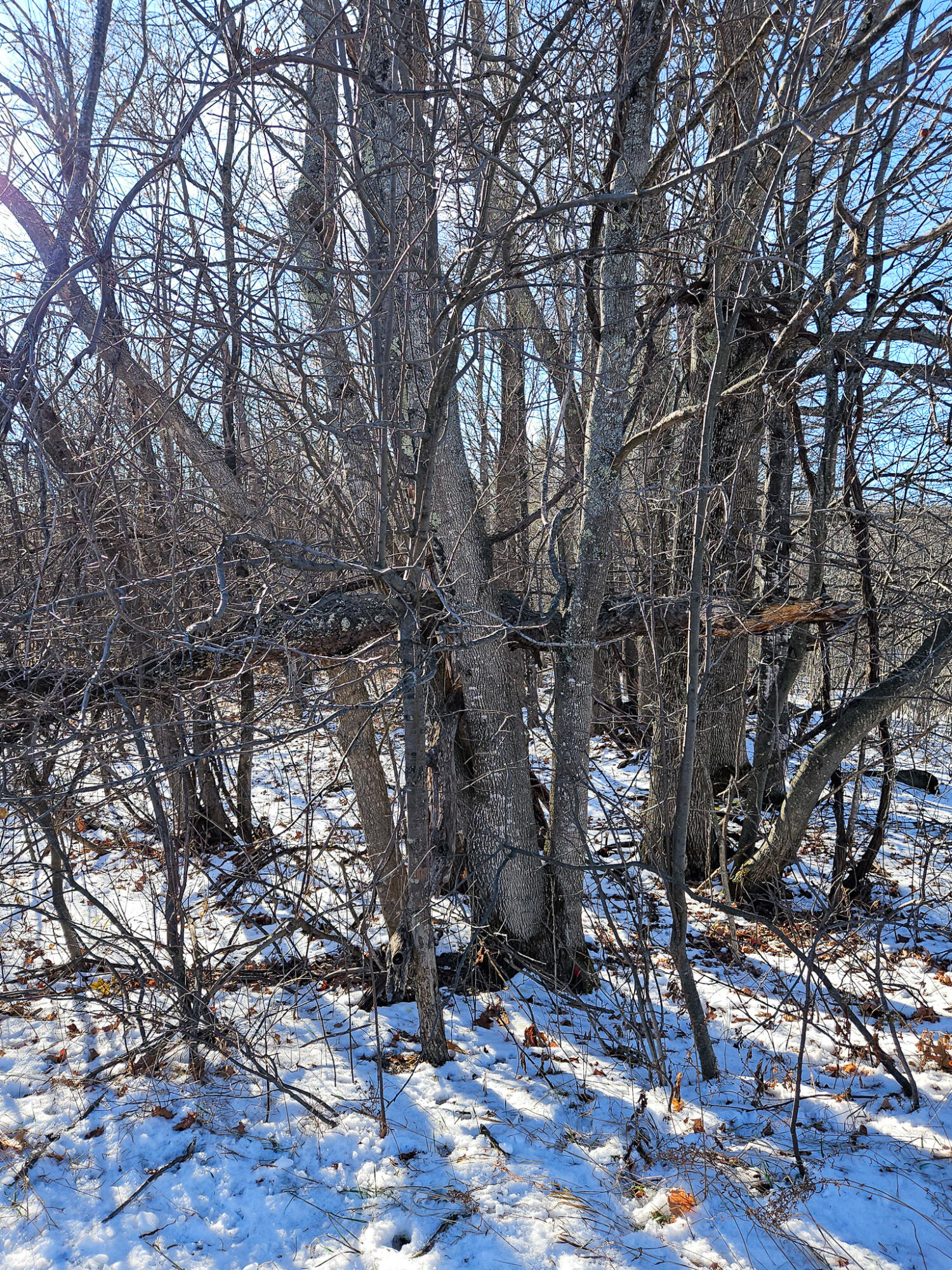 6 Weld Road Wilton, ME 04294 - Photo 20 of 28 20251120_125058-2