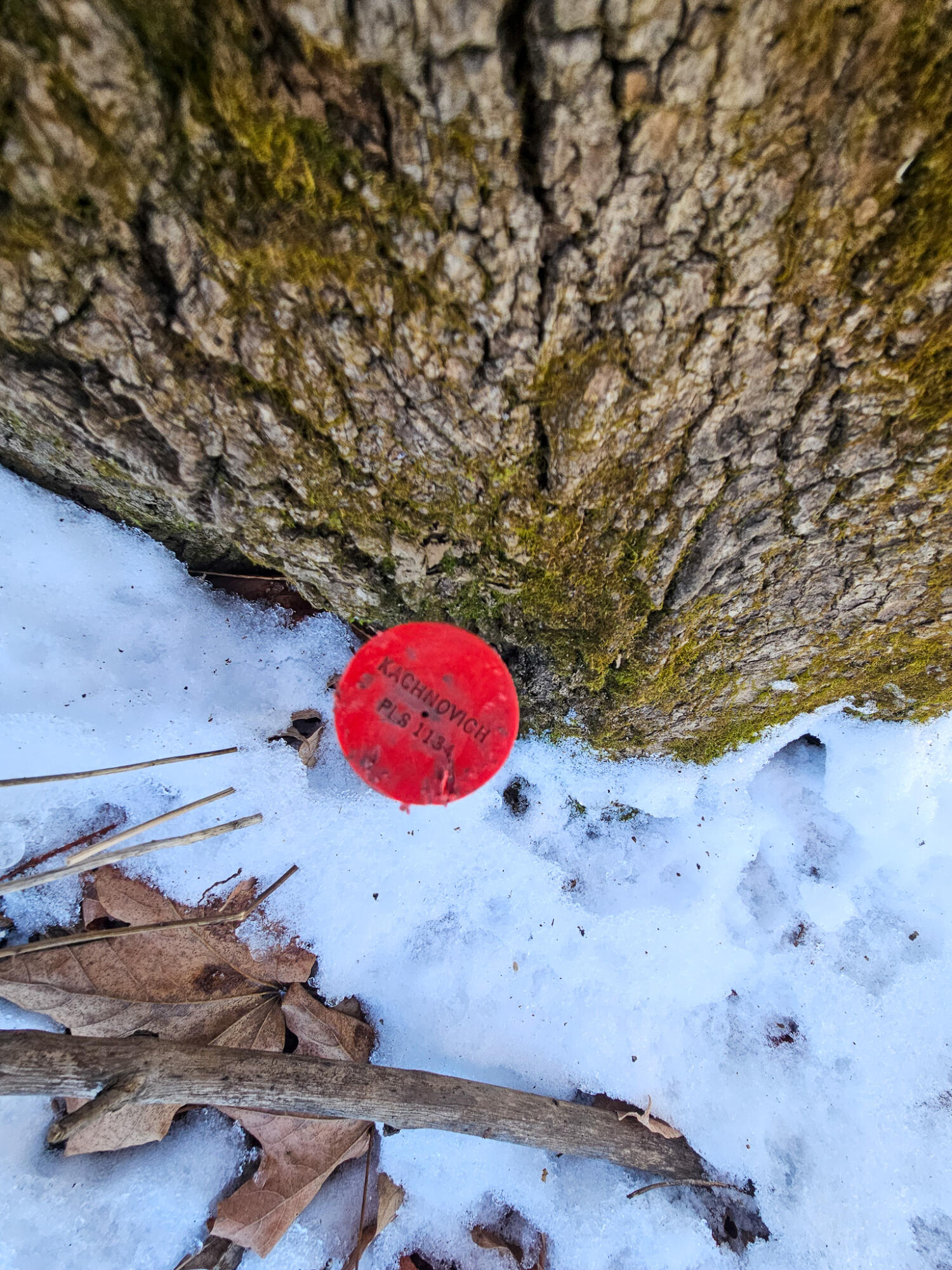 6 Weld Road Wilton, ME 04294 - Photo 22 of 28 20251120_125025-2