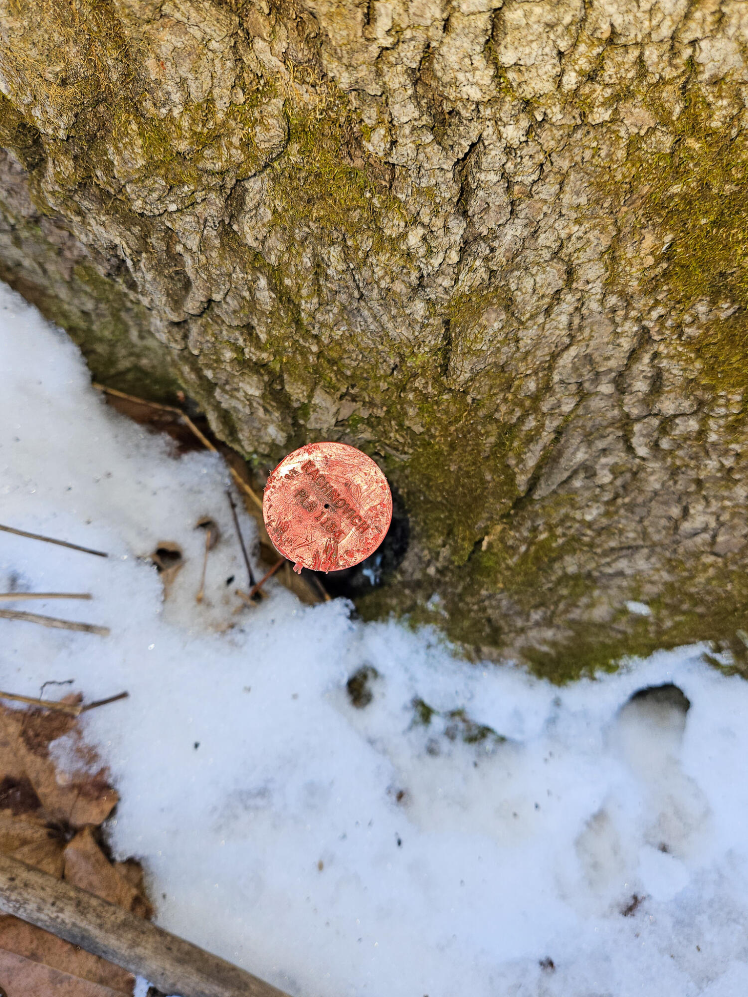 6 Weld Road Wilton, ME 04294 - Photo 23 of 28 20251120_125044-2