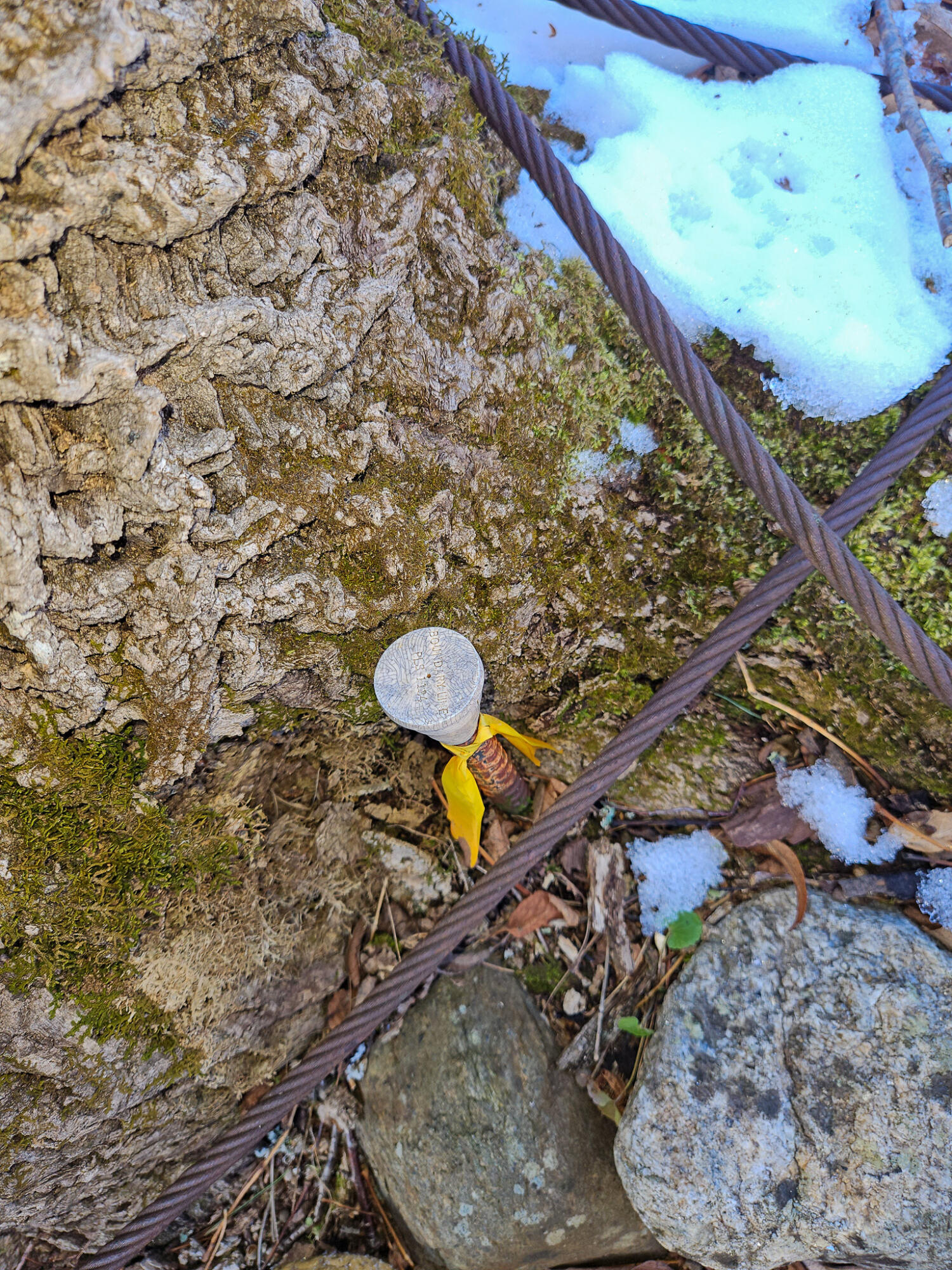 6 Weld Road Wilton, ME 04294 - Photo 25 of 28 20251120_125646-2