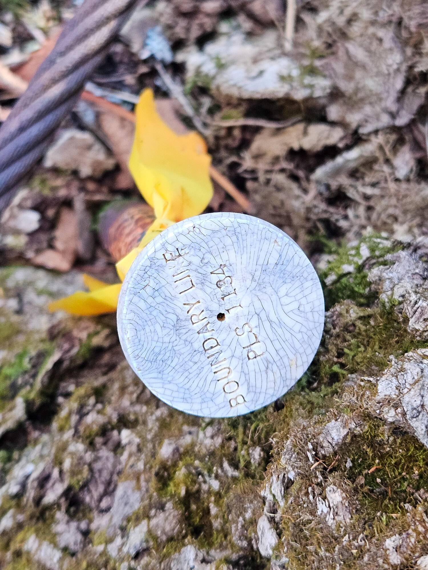 6 Weld Road Wilton, ME 04294 - Photo 27 of 28 20251120_132803-2