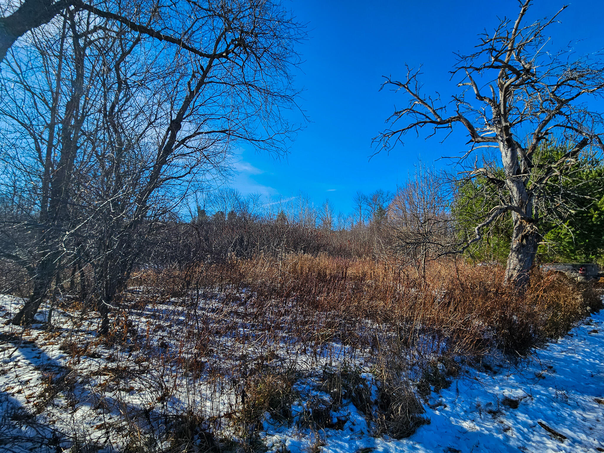 6 Weld Road Wilton, ME 04294 - Photo 3 of 28 20251120_124757-2