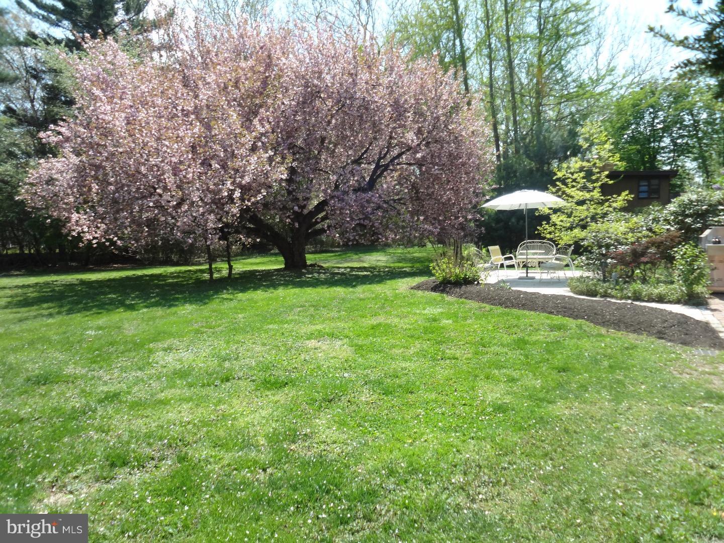 313 Ellis Road Havertown, PA 19083 - Photo 24 of 24