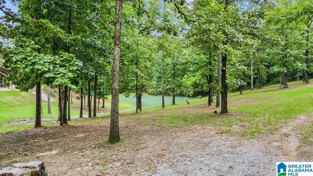 2249 Highway 93 Helena, AL 35080 - Photo 20 of 79