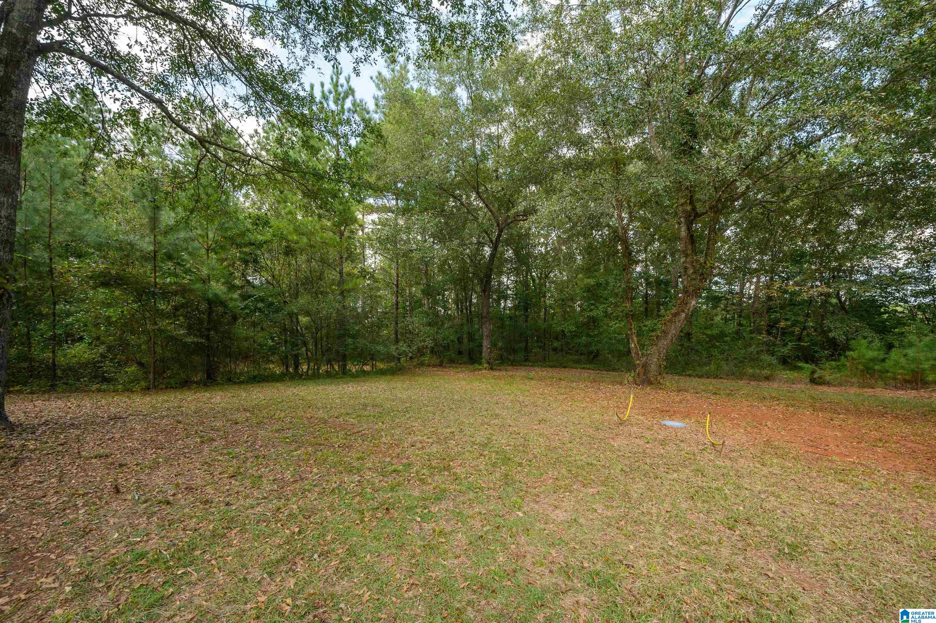 121 Wills Lane Talladega, AL 35160 - Photo 8 of 30