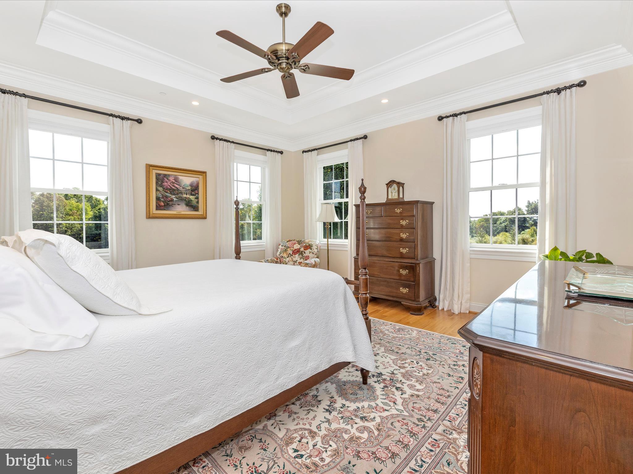 4177 John Benjamin Drive New Windsor, MD 21776 - Photo 23 of 51 Primary Bedroom w tray ceiling, reading lights