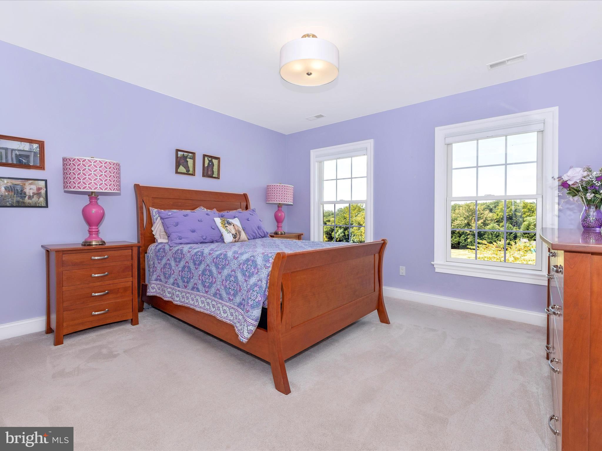 4177 John Benjamin Drive New Windsor, MD 21776 - Photo 27 of 51 Bedroom 2