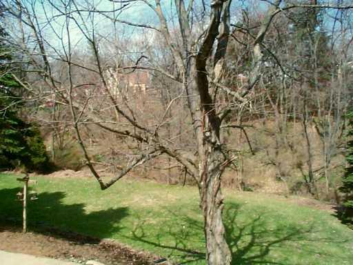 9505 Peebles Road Allison Park, PA 15101 - Photo 7 of 8 Other.