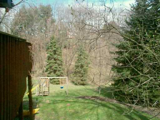 9505 Peebles Road Allison Park, PA 15101 - Photo 8 of 8 Yard/Garden.