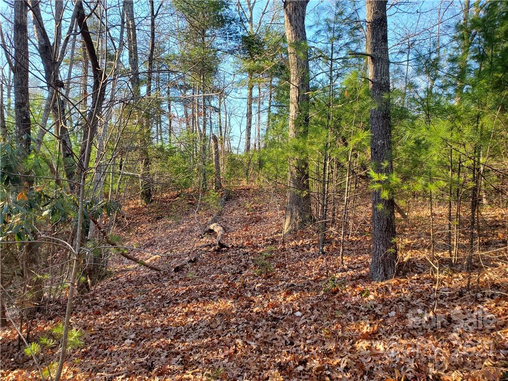 262 Wagon Ridge Lane Ferguson, NC 28624 - Photo 12 of 24 Gallery Image 12