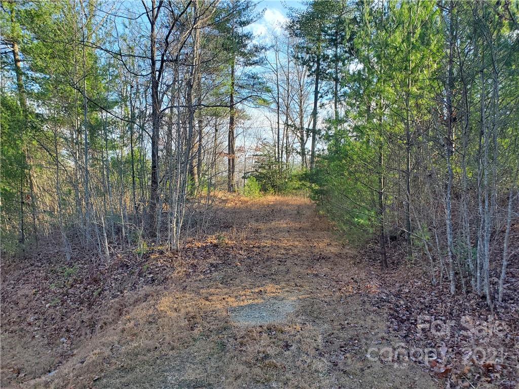 262 Wagon Ridge Lane Ferguson, NC 28624 - Photo 3 of 24 Gallery Image 3