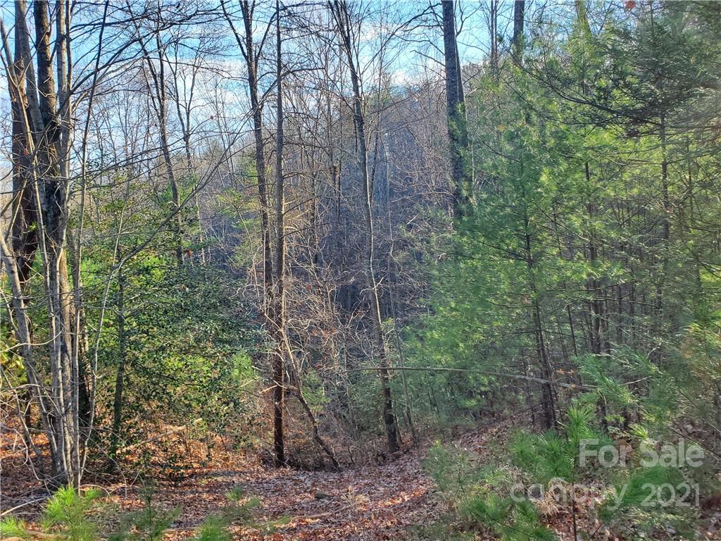 262 Wagon Ridge Lane Ferguson, NC 28624 - Photo 9 of 24 Gallery Image 9