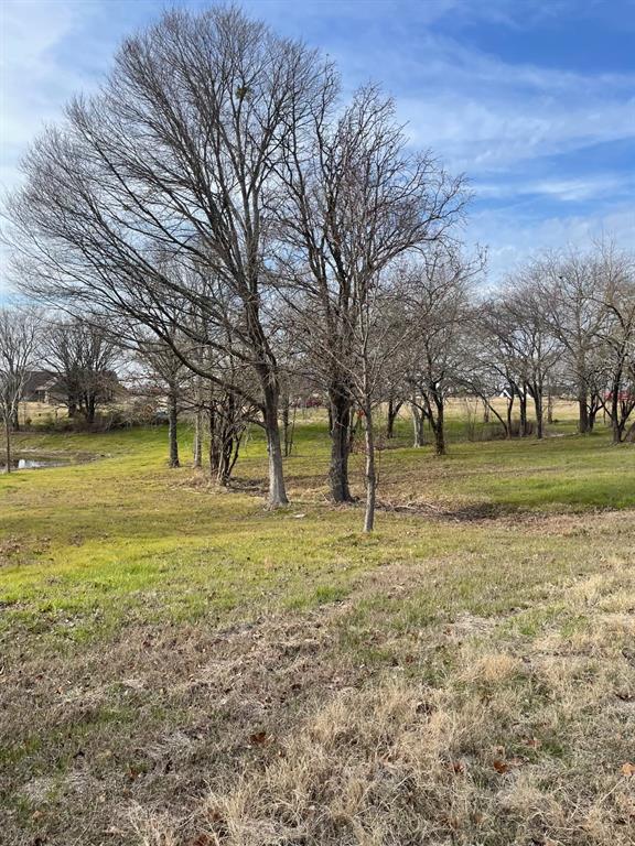 5455 Saddle Ridge Court Athens, TX 75752 - Photo 16 of 25 View of yard with a rural view