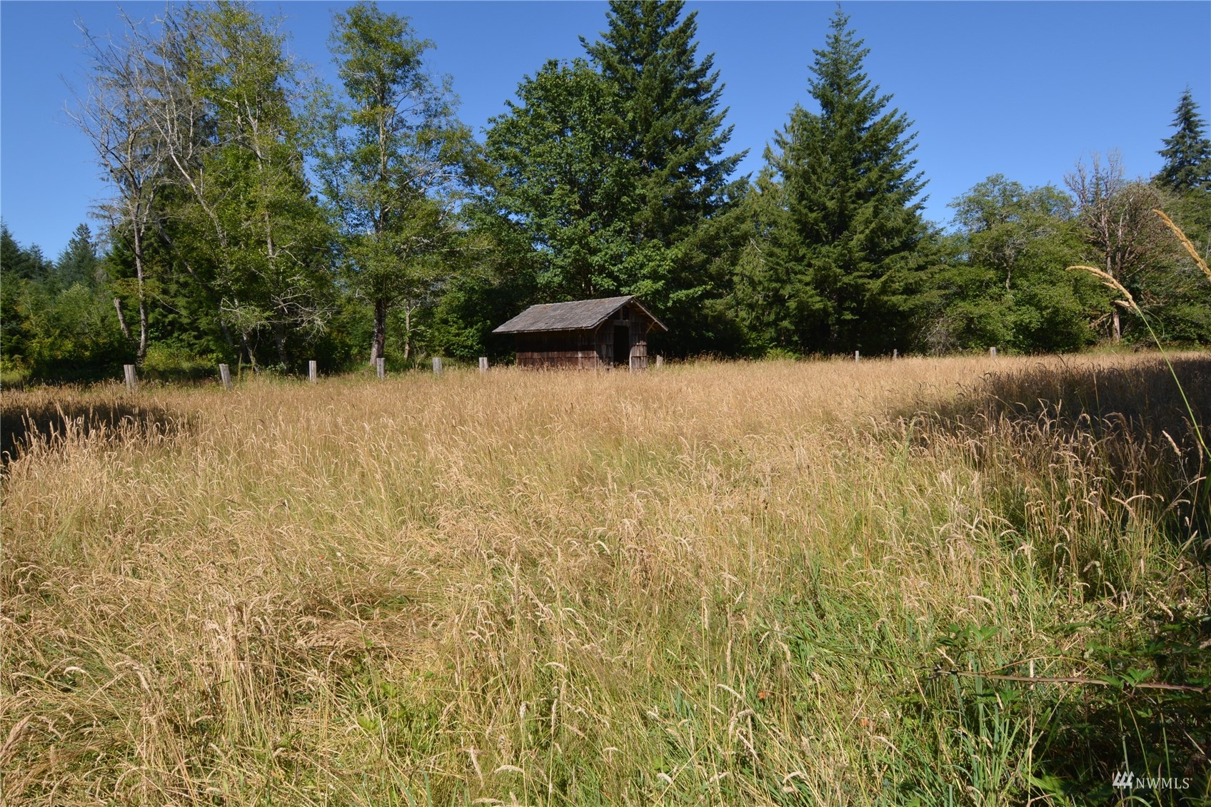 377 Bush Creek Road Elma, WA 98541 - Photo 17 of 39 Gallery Image 17