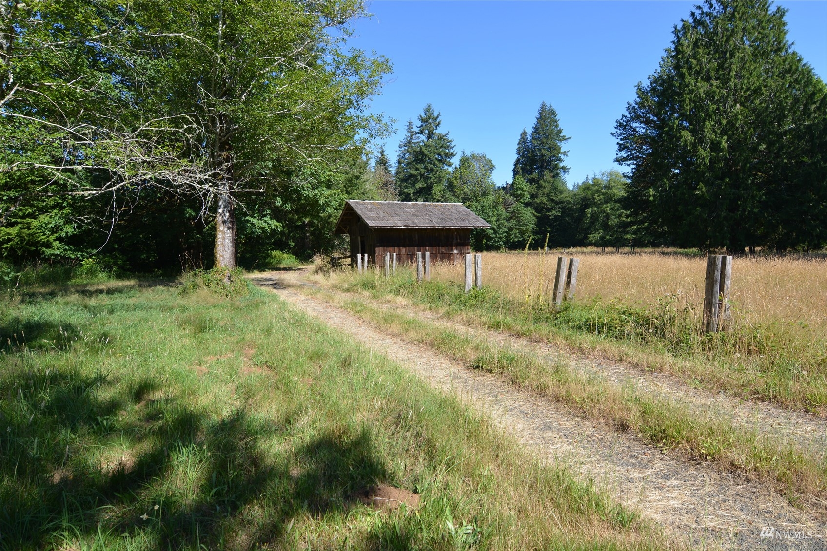 377 Bush Creek Road Elma, WA 98541 - Photo 18 of 39 Gallery Image 18