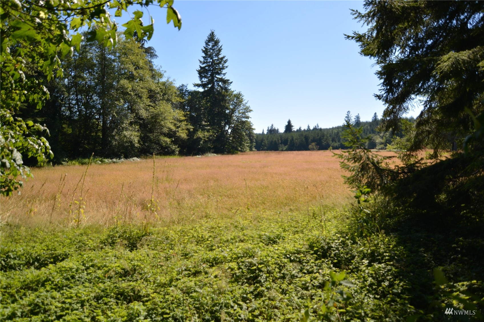 377 Bush Creek Road Elma, WA 98541 - Photo 21 of 39 Gallery Image 21