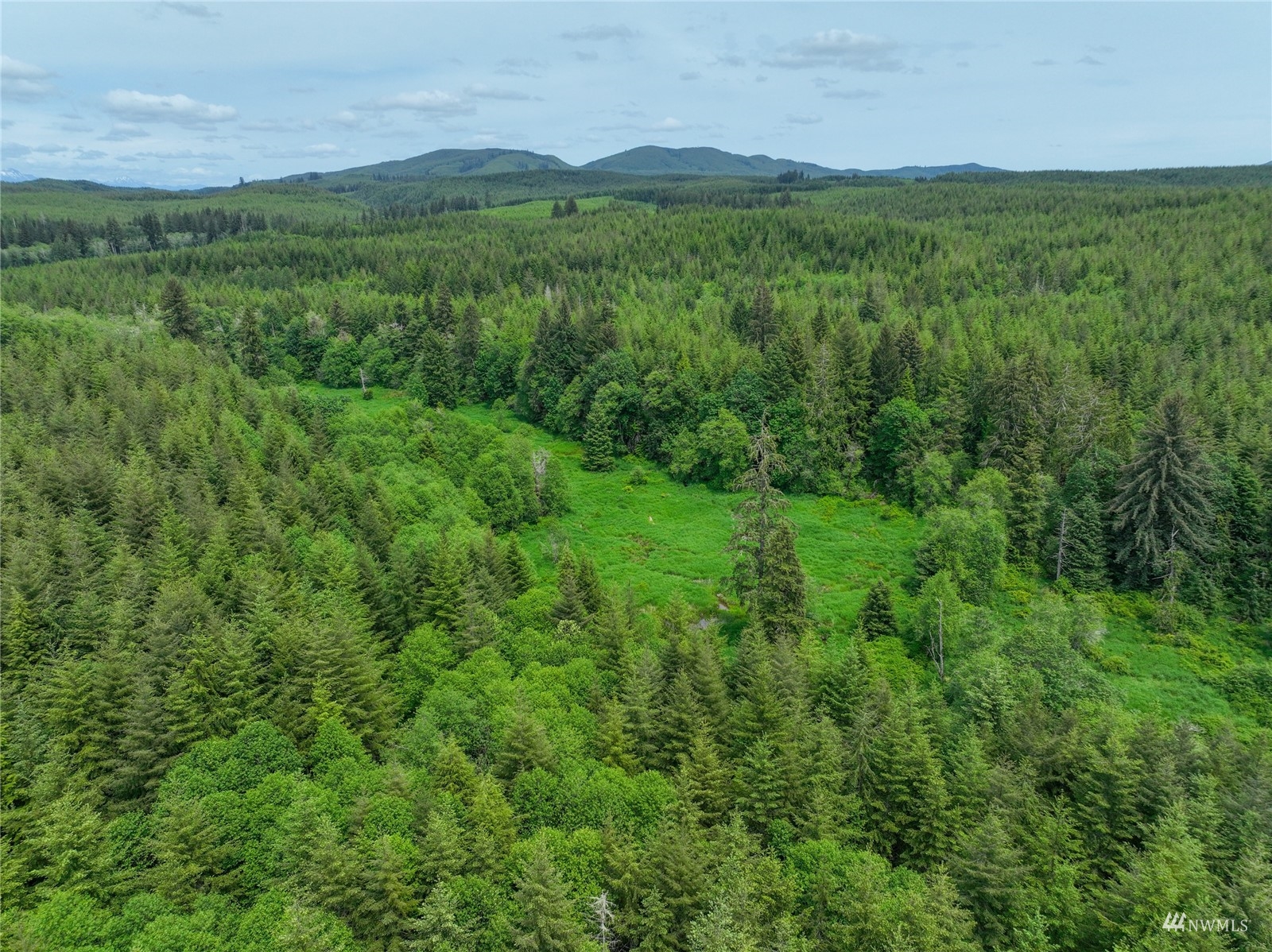 377 Bush Creek Road Elma, WA 98541 - Photo 24 of 39 Gallery Image 24