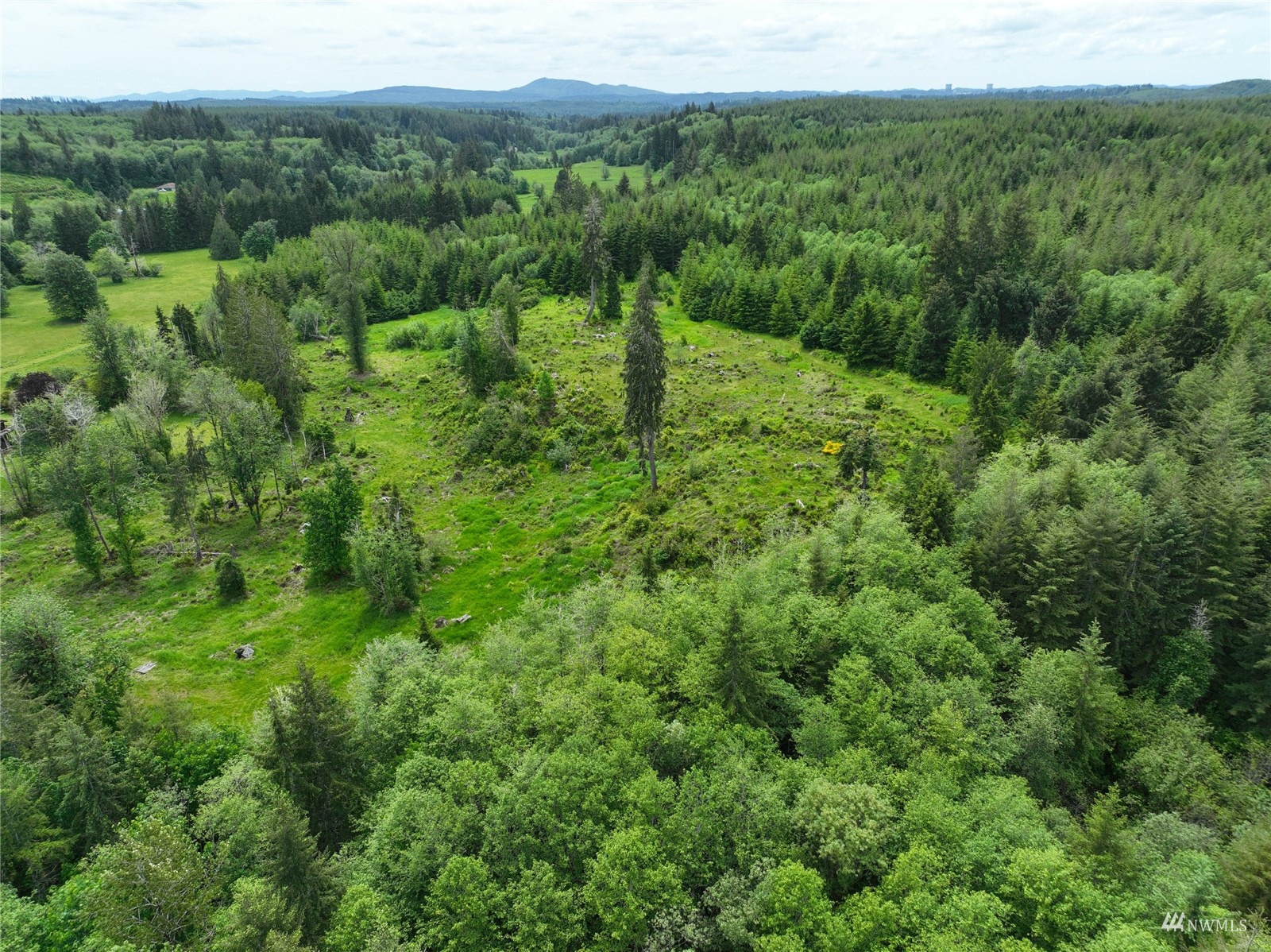 377 Bush Creek Road Elma, WA 98541 - Photo 26 of 39 Gallery Image 26